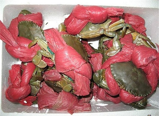 cua biển, cân điêu, tăng trọng lượng, hải sản