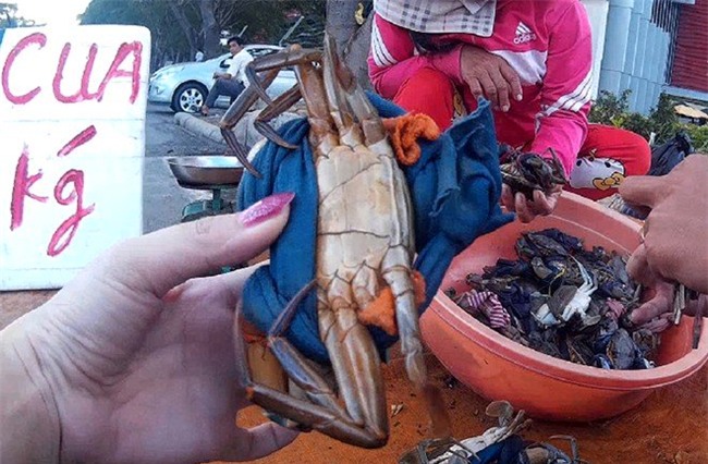 cua biển, cân điêu, tăng trọng lượng, hải sản