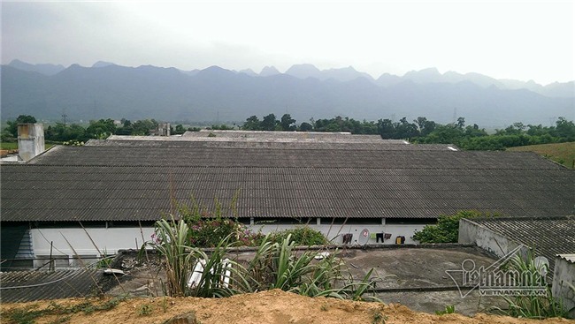 Ô nhiễm, ruồi, Ruồi gây ô nhiễm Hòa Bình