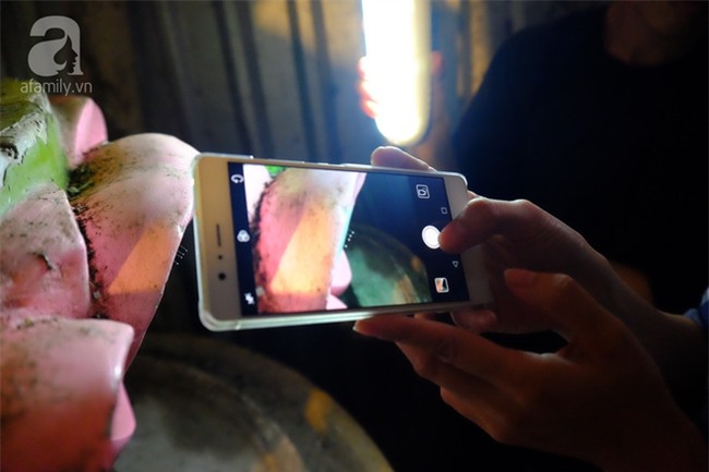 Long An: Bất chấp giông gió, nhiều người đổ xô đi xem “thiên cổ kỳ hoa” 3.000 năm mới nở một lần? - Ảnh 12.