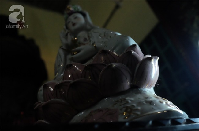 Long An: Bất chấp giông gió, nhiều người đổ xô đi xem “thiên cổ kỳ hoa” 3.000 năm mới nở một lần? - Ảnh 14.