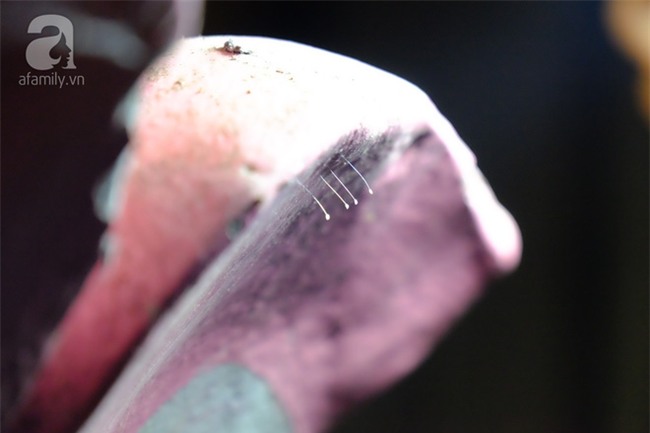 Long An: Bất chấp giông gió, nhiều người đổ xô đi xem “thiên cổ kỳ hoa” 3.000 năm mới nở một lần? - Ảnh 3.