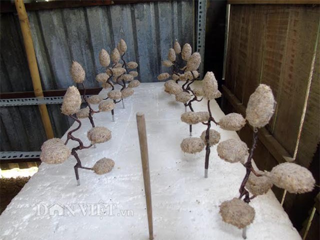 cam chac tren chuc trieu moi thang nho nghe la: trong co may man hinh anh 2