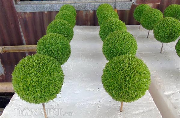 cam chac tren chuc trieu moi thang nho nghe la: trong co may man hinh anh 6