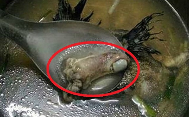 Ăn canh cá mẹ nấu, cô gái trẻ thất kinh khi nhìn thấy