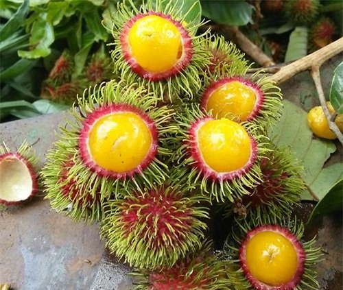 hoa quả, hoa quả giá rẻ, thực phẩm sạch