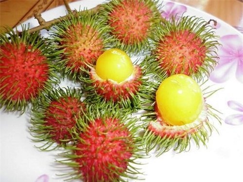 hoa quả, hoa quả giá rẻ, thực phẩm sạch