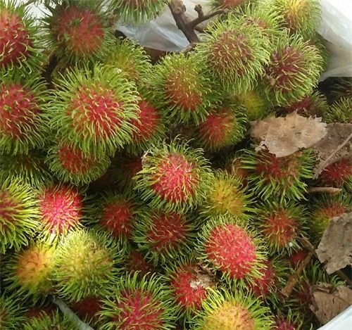 hoa quả, hoa quả giá rẻ, thực phẩm sạch