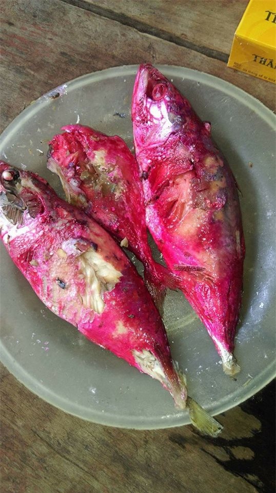 cá kho, cá trắm đen, thực phẩm bẩn