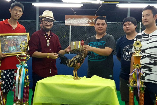 gà chọi, gà trống, nuôi gà, chọi gà