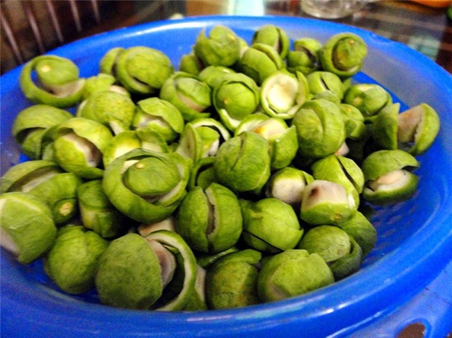 sâu, quả sấu, giải nhiệt, mùa hè