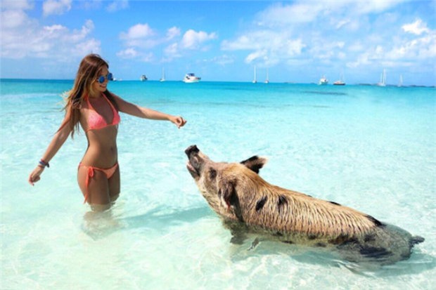 mac bikini dua gion cung dan ca map, co gai xinh dep nhan cai ket kinh hoang - 1