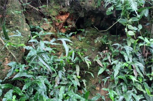 thuc hu ve ham mo bi an chua day vang tai ha nam - 5