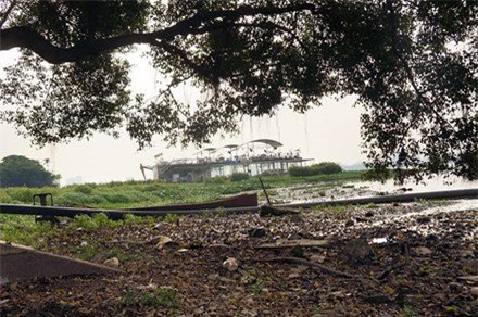 Hồ Tây, nhà hàng, bỏ hoang, dự án bỏ hoang