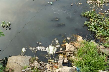 Hồ Tây, nhà hàng, bỏ hoang, dự án bỏ hoang