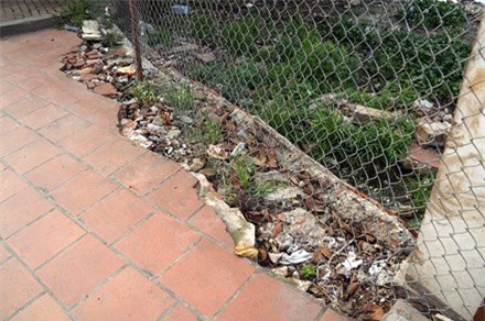 Hồ Tây, nhà hàng, bỏ hoang, dự án bỏ hoang