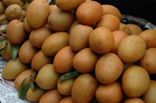 5 loai hoa qua theo mua de