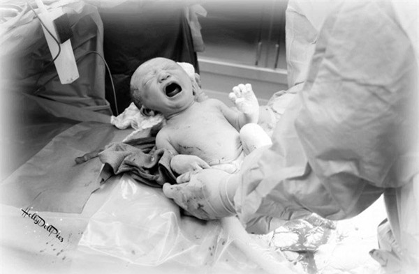 de con o my, me viet van "trung thanh" goi dau bang bo ket, xong mat voi la trau khong - 7