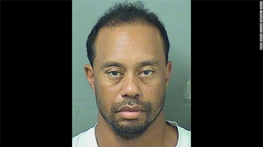 Tiger Wood bị tống giam - Ảnh 1.