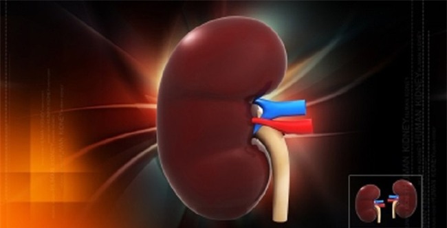Để thận khỏe mạnh, không lo suy thận và chạy thận, bạn đừng bao giờ làm những điều này - Ảnh 3.