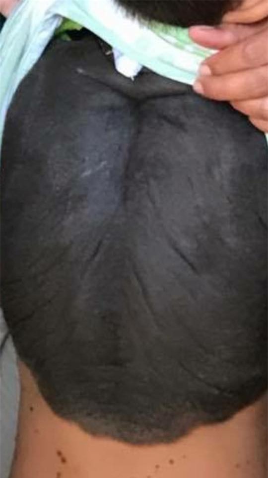 Diễn viên Việt Trinh, Diễn viên điện ảnh, Người đẹp Tây đô, Làm từ thiện,