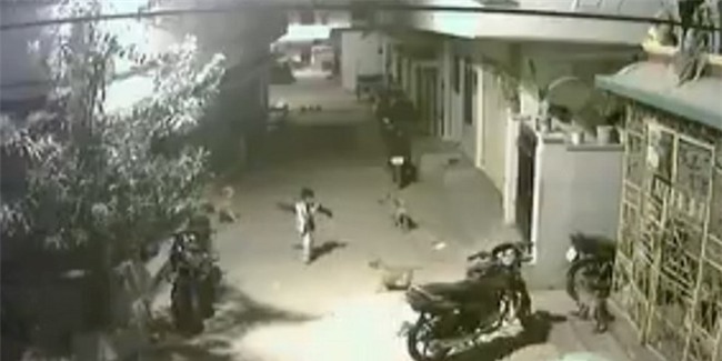 Gọi hội bắt nạt thanh niên cứng 5 tuổi bất thành, đàn chó dữ đành cụp đuôi bỏ về - Ảnh 2.