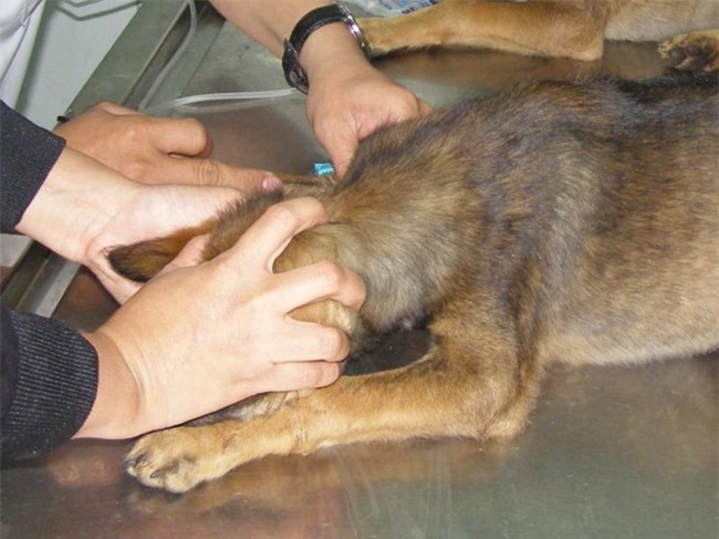 Tai hoa vi rua vet cho can bang nuoc hinh anh 1