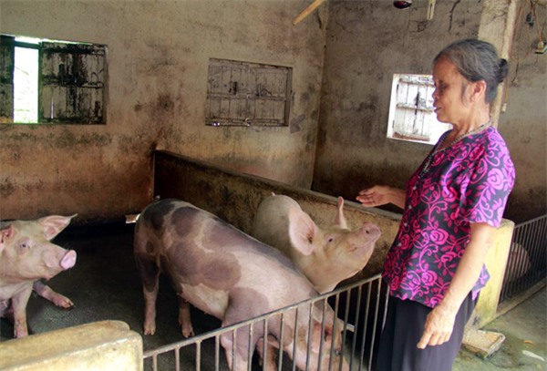 Hà Nội: Gặp người phụ nữ bị tiểu thương chợ Tân Lập đòi ném thịt lợn xuống ao - Ảnh 2.