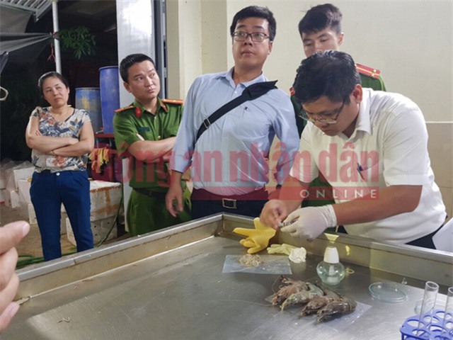 Lực lượng Cảnh sát phòng, chống tội phạm về môi trường phối hợp với cơ quan chức năng kiểm tra số tôm chết bơm tạp chất.