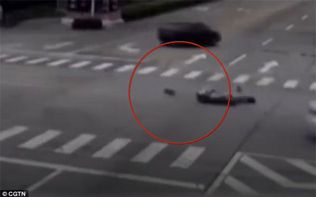 Chủ bị đụng xe, chó chạy theo chặn đầu ô tô gây tai nạn rồi đứng chờ cho tài xế xuống xe mới thôi - Ảnh 2.