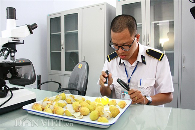 chieu xa vai thieu de...