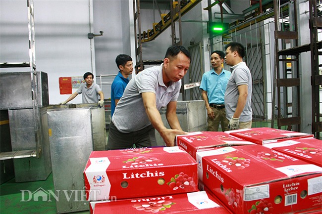 chieu xa vai thieu de...