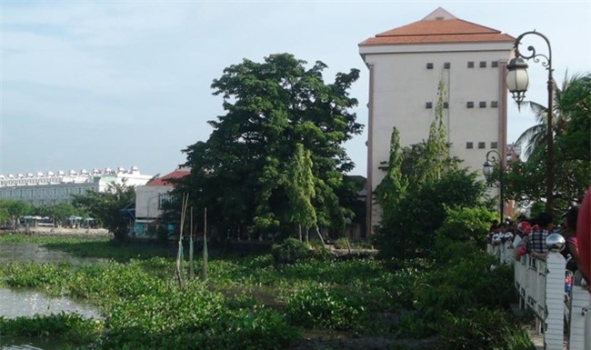 Thi the cu ba 70 tuoi noi tren song Sai Gon hinh anh 1