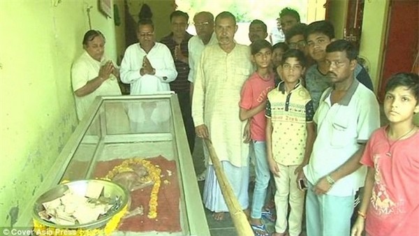 Xác chú bê được đặt trong lồng kính và rất nhiều người đến để tận mắt xem cũng như xin sự phù hộ