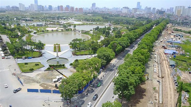 1.000 cay se bi ha ỏ hn: khong the cu co du an lai chat cay xanh! hinh anh 2