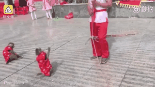 TQ: Cô gái trẻ bị khỉ kéo áo, sờ ngực giữa phố - Ảnh 1.