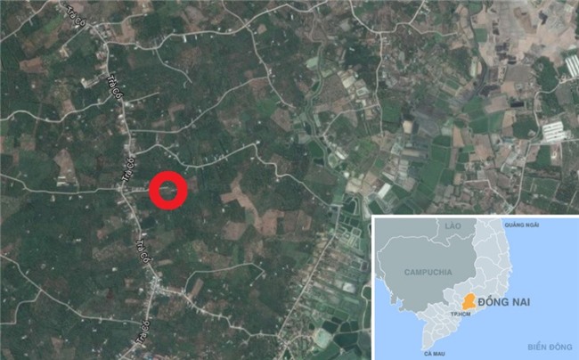 Can canh xuong san xuat trong rung cua 'tap doan' ma tuy lon nhat nuoc hinh anh 1