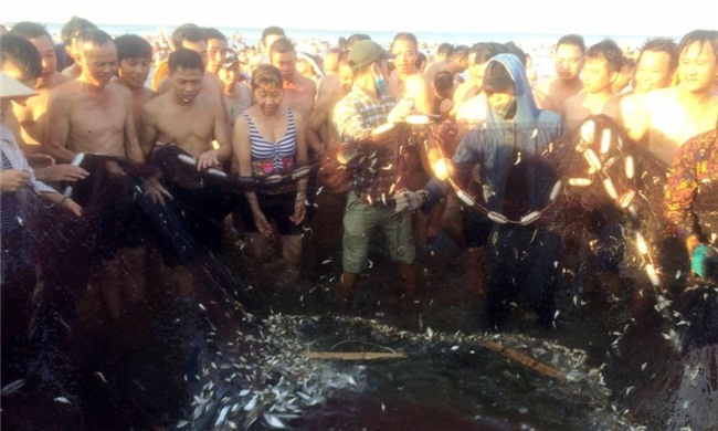 nắng nóng, nóng kỷ lục, Sầm Sơn, Cửa Lò, Đồ Sơn, bãi biển, giải nhiệt