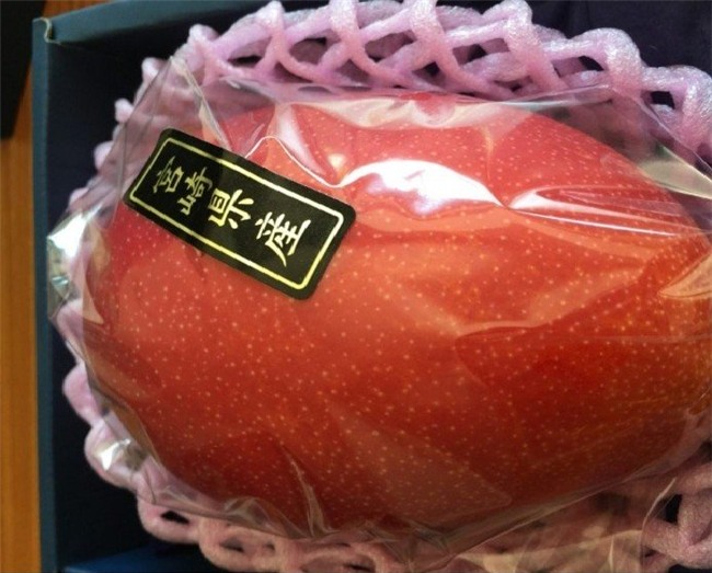 nông sản việt nam, hoa quả nhập khẩu, hoa quả nhật bản, nông sản xuất khẩu, vải thiều