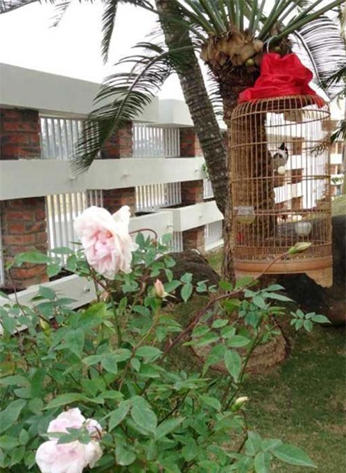 Trọng Tấn, Việt Hoàn, Đăng Dương, ông hoàng nhạc đỏ, ca sĩ hát nhạc đỏ, sao Việt