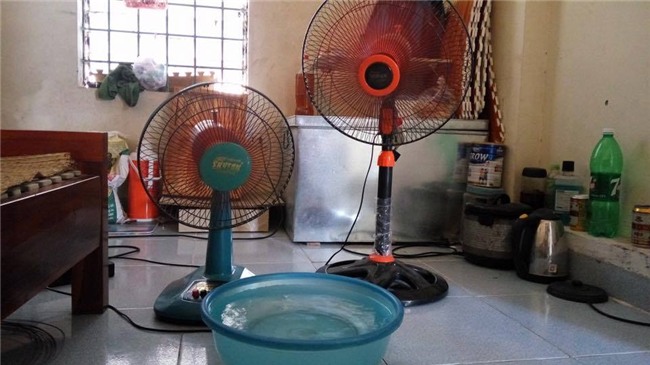 nang nong ky luc, trung ran khong can lua, chuoi cung chin chay - 9