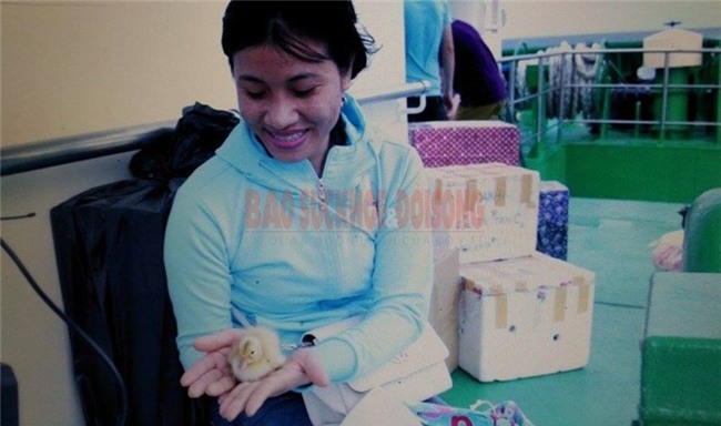 Trường Sa, đảo Tốc Tan, trứng vịt lộn