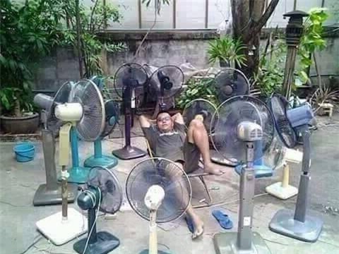 Nghìn lẻ một kiểu tránh nóng giữa những ngày nắng kỉ lục - Ảnh 10.