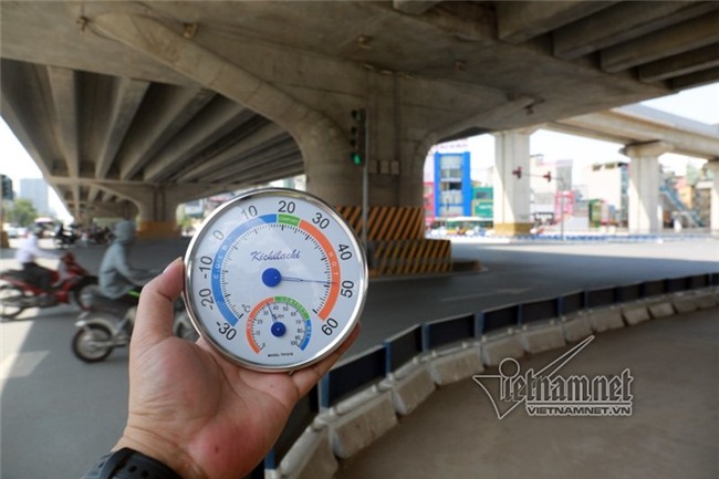 nắng nóng,nắng nóng kỷ lục,nóng kỷ lục,hàng cây,di dời cây xanh,Hà Nội