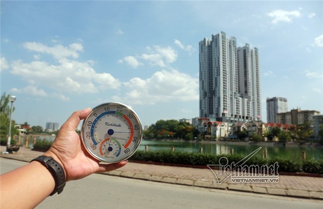 nắng nóng,nắng nóng kỷ lục,nóng kỷ lục,hàng cây,di dời cây xanh,Hà Nội