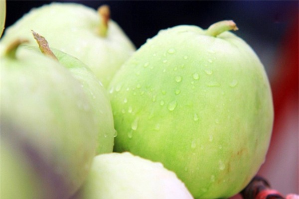 mang bau ngay nang nong, me bau dung bo qua loai qua "re beo" nhung cuc tot nay - 1