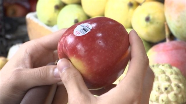 trái cây nhập khẩu, đột lốt, hàng Tàu, hoa quả ngoại