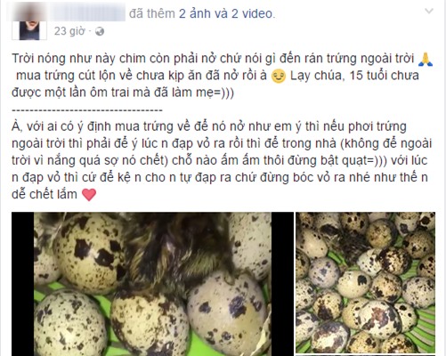 Mua trứng cút lộn về ăn giữa ngày nóng khủng khiếp, cô bé 15 tuổi bất ngờ trở thành mẹ đơn thân - Ảnh 2.