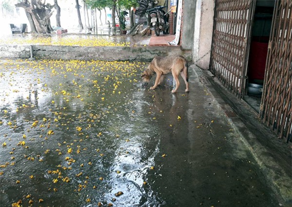 Hà Nội: Một số nơi đã xảy ra mưa rào, chính thức chấm dứt đợt nắng nóng kỷ lục - Ảnh 2.