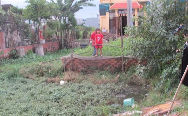 Chồng hờ truy sát vợ, quăng xuống ruộng rau